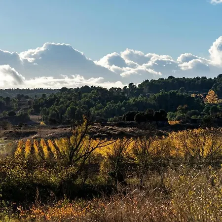 Feriehus De L'aramont Dans Le Minervois