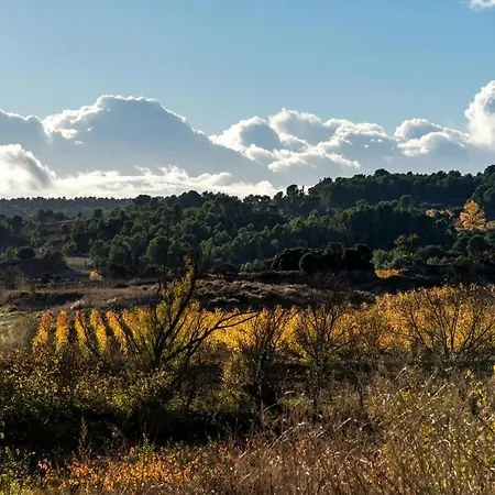 De L'aramont Dans Le Minervois Laure-Minervois