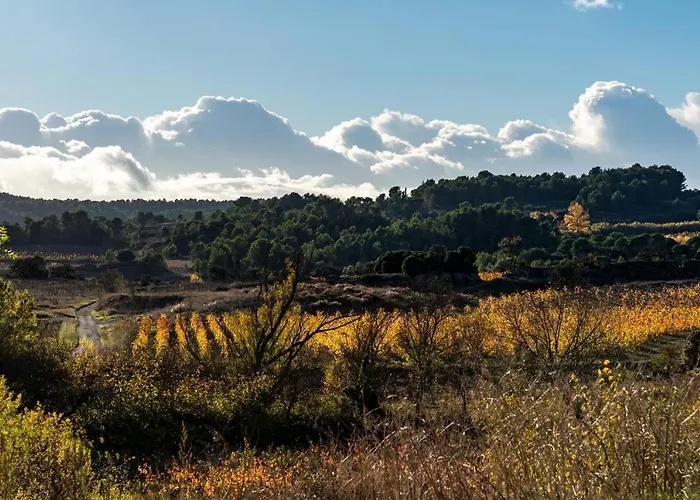 펜션 De L'aramont Dans Le Minervois